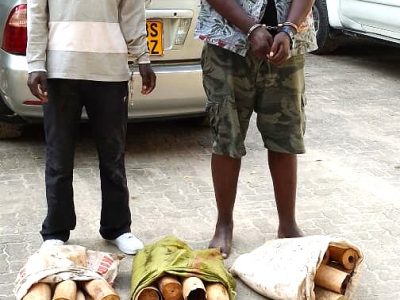 Burundians Gakiza Sulemani and Nkunubumwe Celecius charged with illegal possesion of elephant tasks