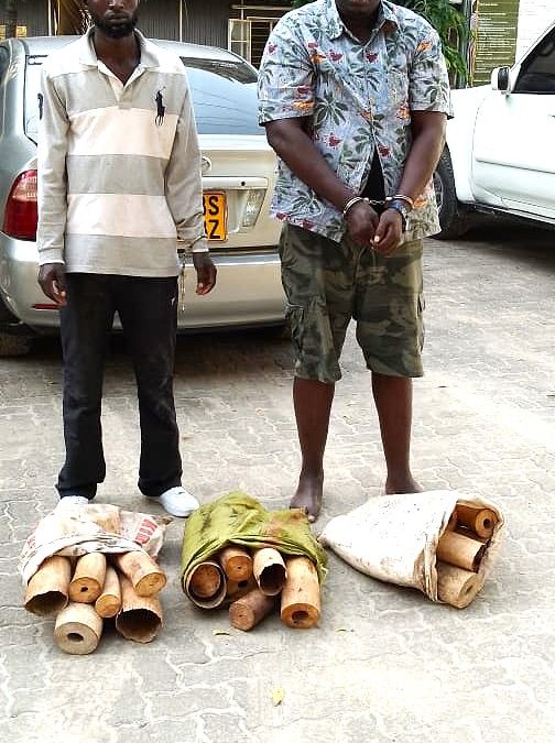Burundians charged with possession of Ksh.12 Million Elephant tusks